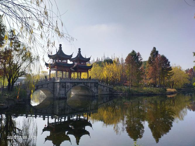 奉贤一日游免费景点？古华公园收费吗-图3