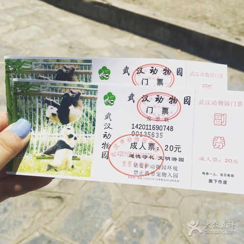 武汉动物园开车该怎么走?武汉王家店收费吗-图2 武汉动物园开车该怎么走?武汉王家店收费吗-图2