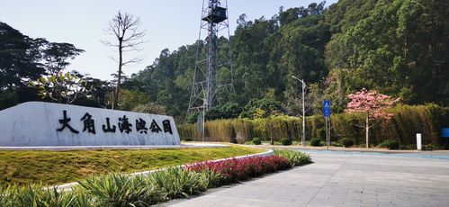 在坦洲车站坐什么车到珠海海滨公园?坦洲公园收费吗-图3 在坦洲车站坐什么车到珠海海滨公园?坦洲公园收费吗-图3