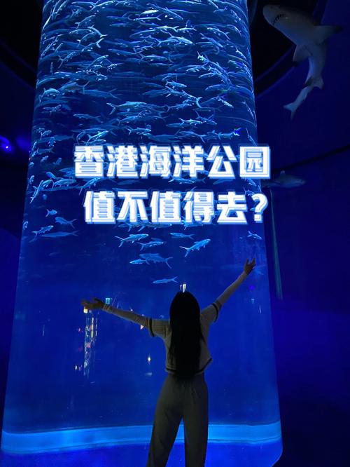 75岁去香港海洋公园有优惠吗?香港湿地公园收费标准-图2 75岁去香港海洋公园有优惠吗?香港湿地公园收费标准-图2