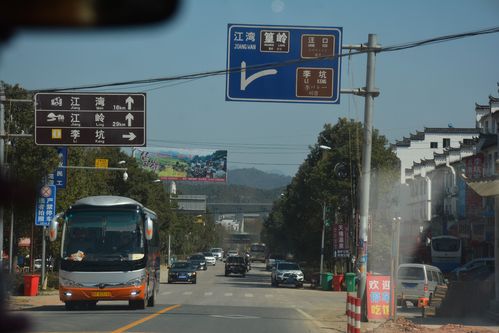 婺源高铁站有直达大鄣山卧龙谷的交通车吗?李坑晚上收费-图2 婺源高铁站有直达大鄣山卧龙谷的交通车吗?李坑晚上收费-图2