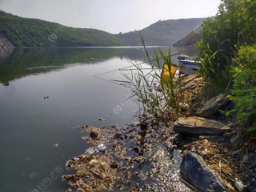 临沂离黄河多远?零口水库钓鱼收费多少-图2 临沂离黄河多远?零口水库钓鱼收费多少-图2
