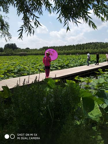 辽阳柳壕湿地票价是多少?柳壕湿地收费-图3 辽阳柳壕湿地票价是多少?柳壕湿地收费-图3