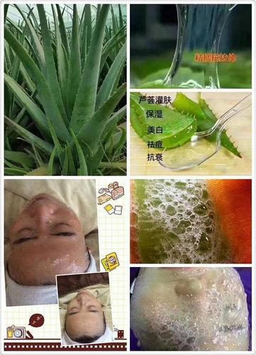 芦荟灌肤多长时间洗掉?芦荟灌肤怎么收费-图3 芦荟灌肤多长时间洗掉?芦荟灌肤怎么收费-图3