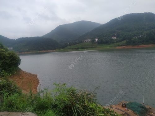 青山边钓场怎么样?南太子湖钓鱼收费吗-图1 青山边钓场怎么样?南太子湖钓鱼收费吗-图1