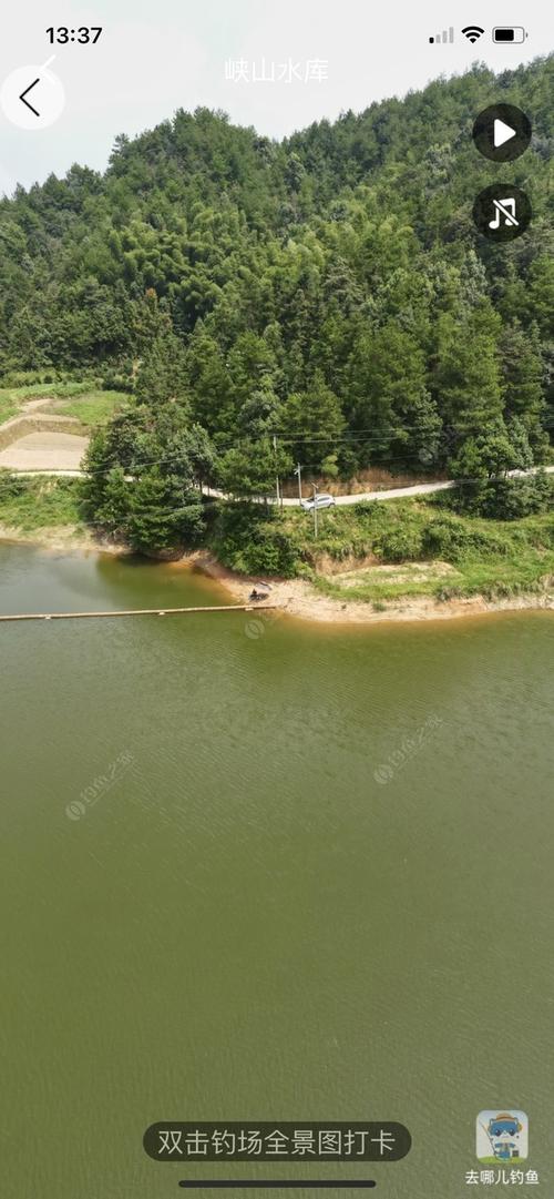 青山边钓场怎么样?南太子湖钓鱼收费吗-图2 青山边钓场怎么样?南太子湖钓鱼收费吗-图2