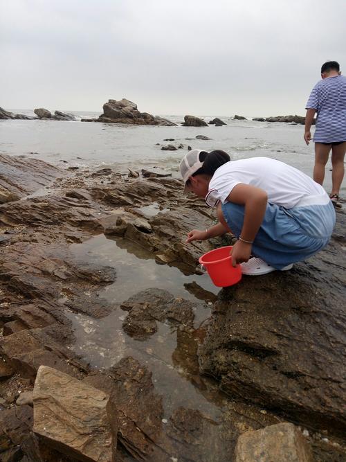 山东日照赶海地方?日照李家台赶海园收费吗-图3 山东日照赶海地方?日照李家台赶海园收费吗-图3