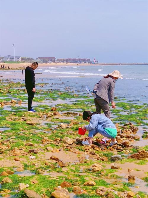 山东日照赶海地方？日照李家台赶海园收费吗