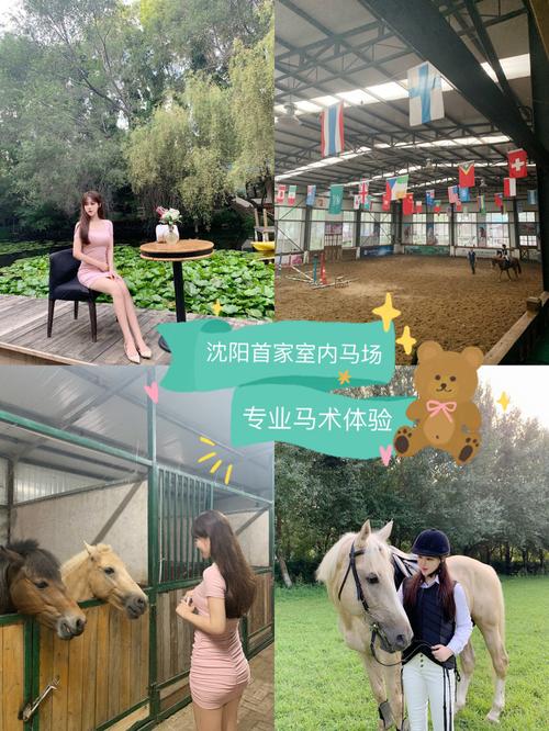 辽宁51旅游合适去哪里?沈阳有马场怎么收费-图2 辽宁51旅游合适去哪里?沈阳有马场怎么收费-图2