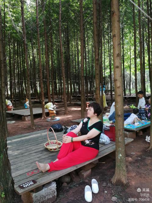 四面山可以露营么?四面山露营基地收费吗-图3 四面山可以露营么?四面山露营基地收费吗-图3