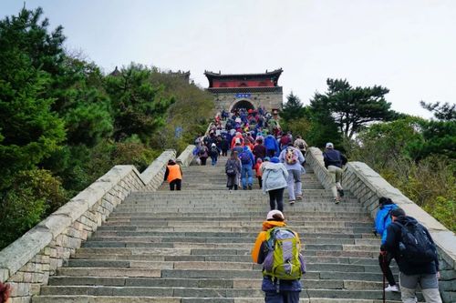 自己开车怎么爬泰山？泰安人爬泰山收费吗