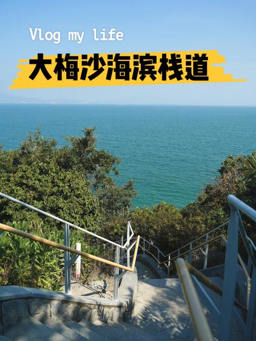 深圳去南澳西涌需要预约出行吗?同乐收费站改造-图3 深圳去南澳西涌需要预约出行吗?同乐收费站改造-图3
