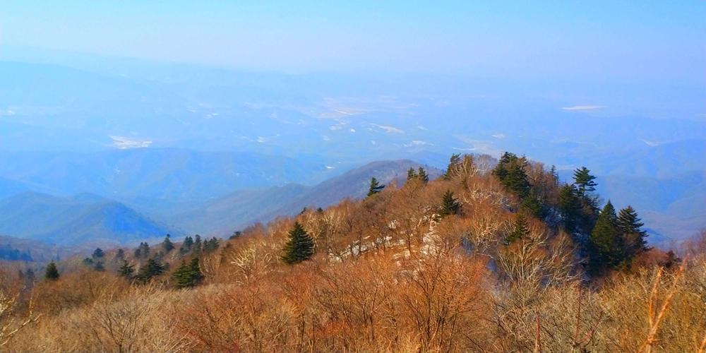 龙岗山是辽宁省的哪个市?旺清门收费站海拔-图1 龙岗山是辽宁省的哪个市?旺清门收费站海拔-图1