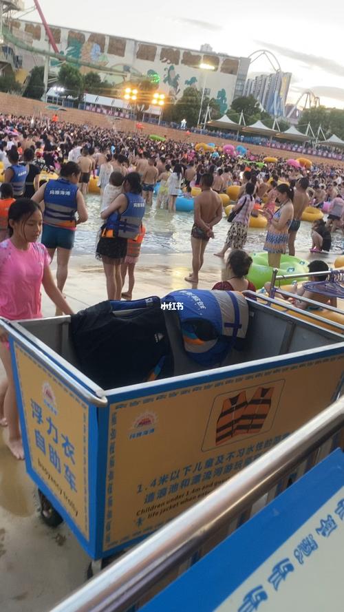 武汉玛雅vip怎么购买？武汉玛雅水公园收费