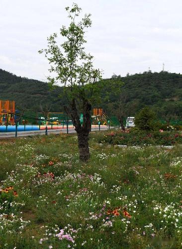 阳泉周边烧烤野营好去处?阳泉城市中心公园收费-图2 阳泉周边烧烤野营好去处?阳泉城市中心公园收费-图2