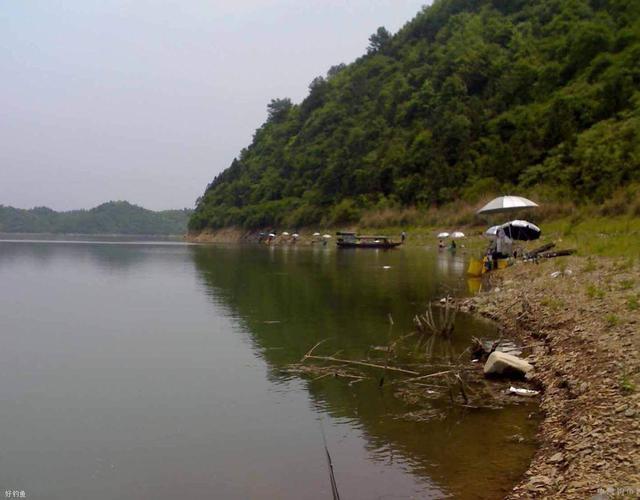 义乌大陈东塘水库可以钓鱼吗?义乌钓鱼的地方收费-图2 义乌大陈东塘水库可以钓鱼吗?义乌钓鱼的地方收费-图2