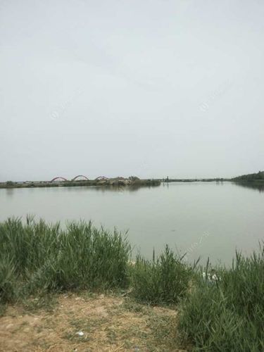 银川垂钓便宜最好的地方?银川收费钓鱼场-图2 银川垂钓便宜最好的地方?银川收费钓鱼场-图2