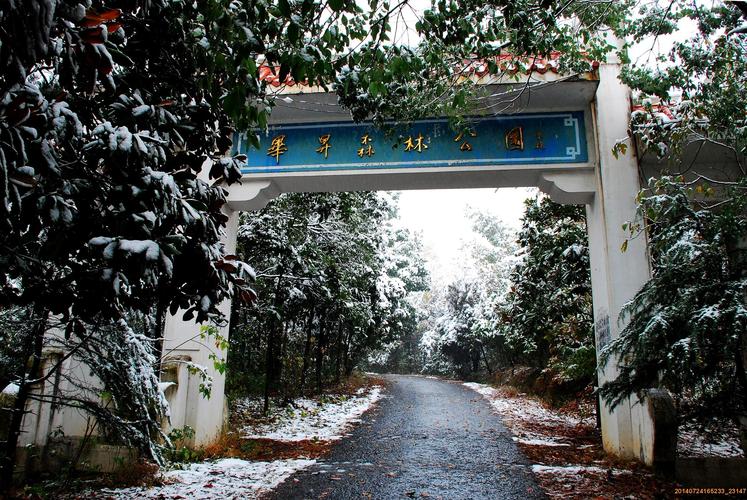洞庭湖怎么玩？毕升森林公园收费吗