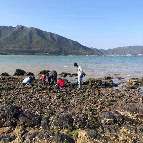 深圳坝光海滩需要预约通行吗?大鹏所城门票收费-图3 深圳坝光海滩需要预约通行吗?大鹏所城门票收费-图3