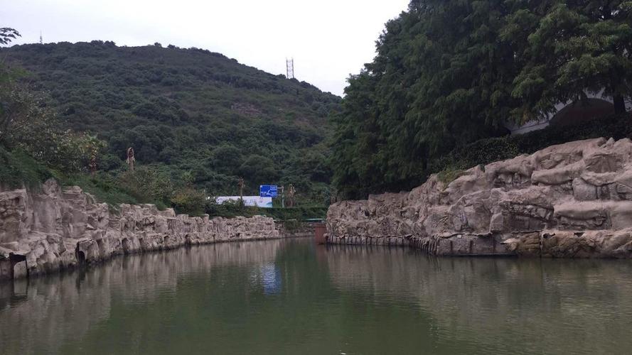 九龙山风景区停车怎么收费？大山村公园收费么