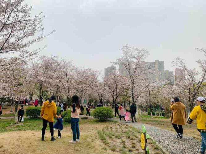 堤角牛骨头哪家正宗?堤角公园停车场收费-图2 堤角牛骨头哪家正宗?堤角公园停车场收费-图2