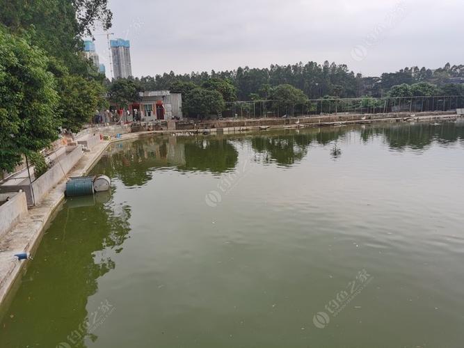 东莞企石什麼地方好钓鱼不收费的?东莞收费水库可以钓鱼-图2 东莞企石什麼地方好钓鱼不收费的?东莞收费水库可以钓鱼-图2