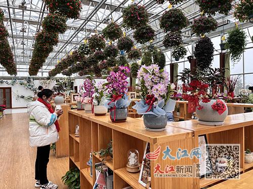 优待证去丰城梅林花卉小镇免门票吗?丰城梅林高速新收费口-图3 优待证去丰城梅林花卉小镇免门票吗?丰城梅林高速新收费口-图3
