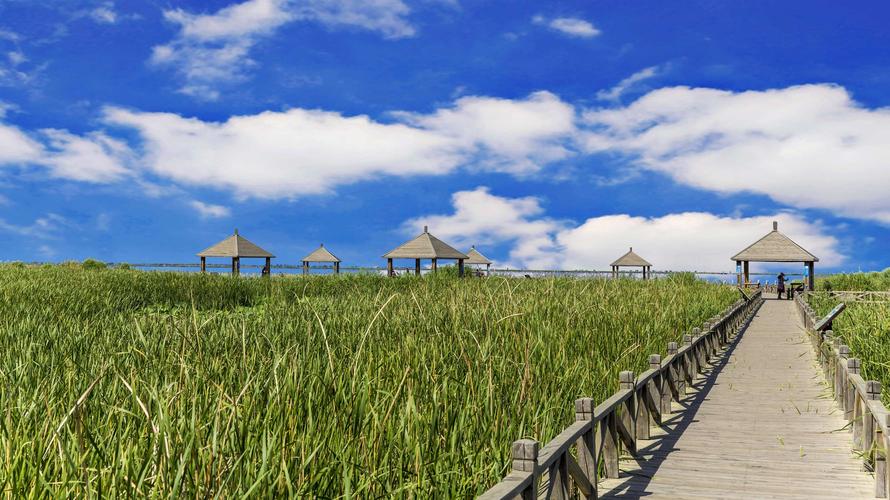 哈素海旅游景区要门票吗?哈素海收费-图3 哈素海旅游景区要门票吗?哈素海收费-图3