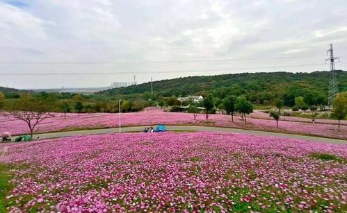 龙灵山生态公园停车哪边方便?花坡村收费吗-图1 龙灵山生态公园停车哪边方便?花坡村收费吗-图1