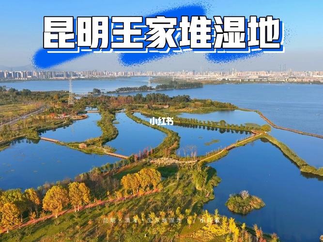 昆明王家堆湿地坐哪趟车去?昆明西山停车场收费-图2 昆明王家堆湿地坐哪趟车去?昆明西山停车场收费-图2