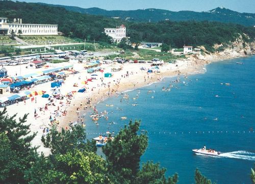去旅顺黄金山海域东大坝怎么走？旅顺黄金山收费吗-图2