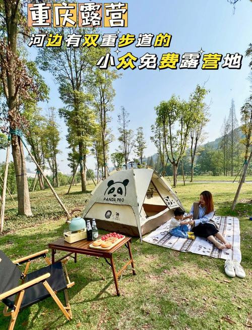 许昌遛娃值得去的好地方?绿廊一号露营收费吗-图3 许昌遛娃值得去的好地方?绿廊一号露营收费吗-图3