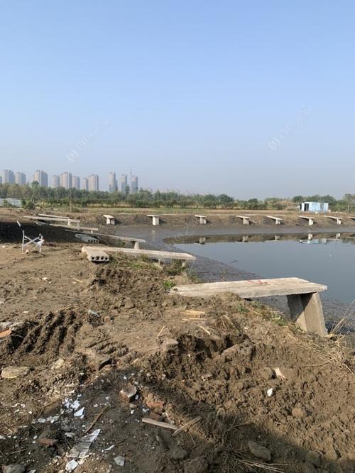 南通市区哪里钓鱼好？南通收费鱼塘