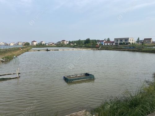 南通市区哪里钓鱼好?南通收费鱼塘-图2 南通市区哪里钓鱼好?南通收费鱼塘-图2