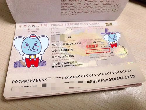 护照丢了,签证页怎么补?签证收费单丢了怎么办理流程-图2 护照丢了,签证页怎么补?签证收费单丢了怎么办理流程-图2