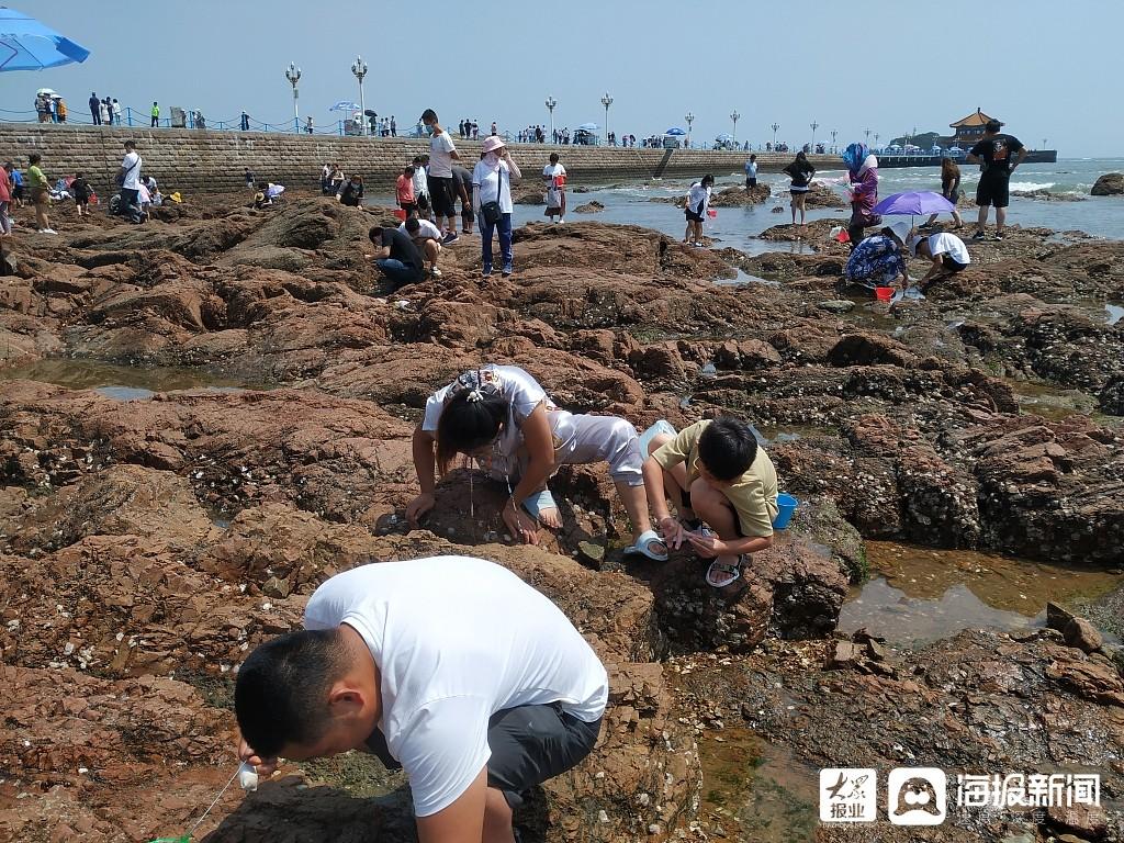 青岛白天赶海的地方?青岛女姑口站收费标准-图1 青岛白天赶海的地方?青岛女姑口站收费标准-图1