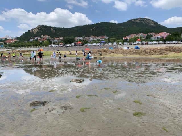 青岛白天赶海的地方?青岛女姑口站收费标准-图2 青岛白天赶海的地方?青岛女姑口站收费标准-图2