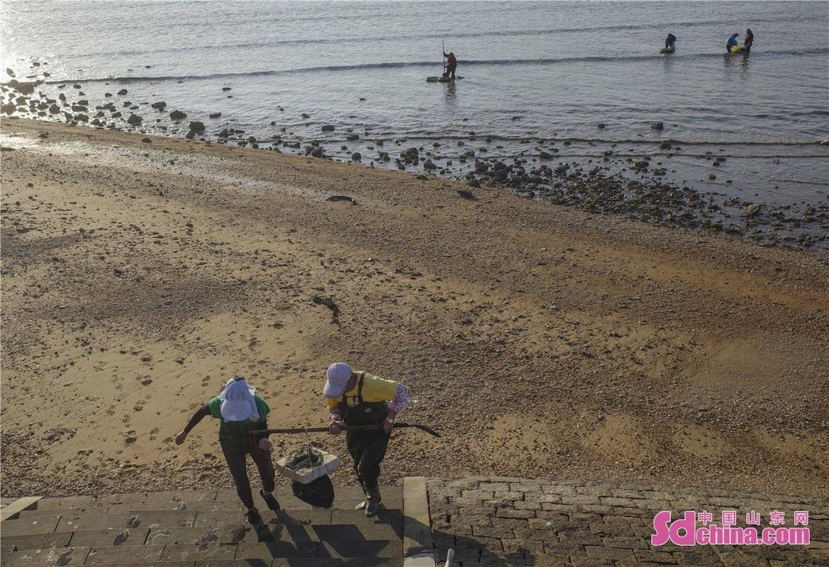 青岛白天赶海的地方?青岛女姑口站收费标准-图3 青岛白天赶海的地方?青岛女姑口站收费标准-图3