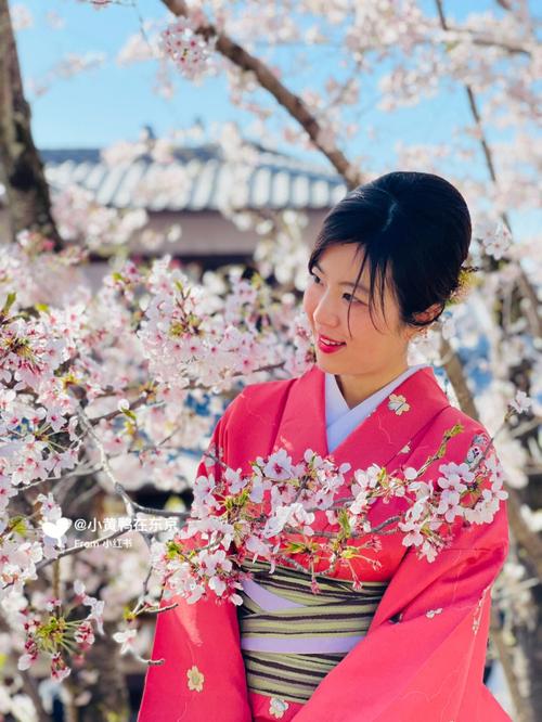 10亿日元在日本可以生活好吗?日本旅拍一般怎么收费-图2 10亿日元在日本可以生活好吗?日本旅拍一般怎么收费-图2