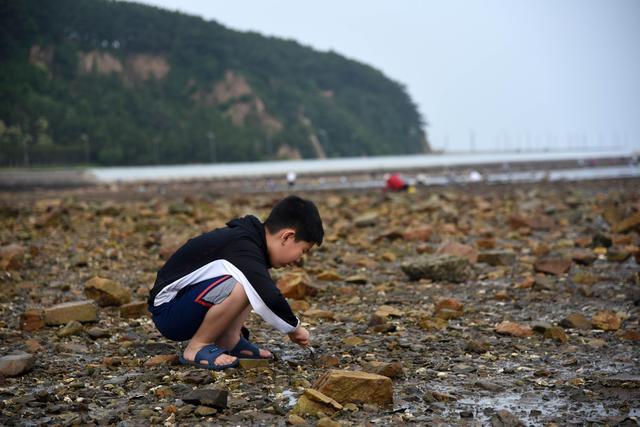 8月荣成赶海去哪？荣成赶海海滩收费