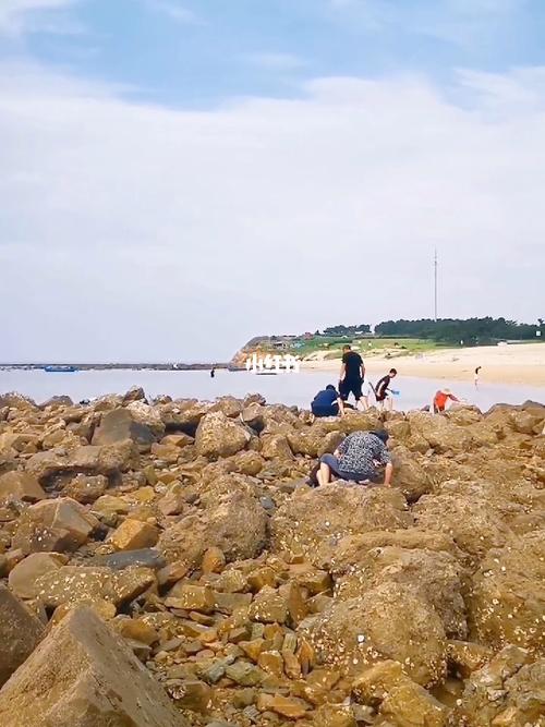 8月荣成赶海去哪?荣成赶海海滩收费-图3 8月荣成赶海去哪?荣成赶海海滩收费-图3