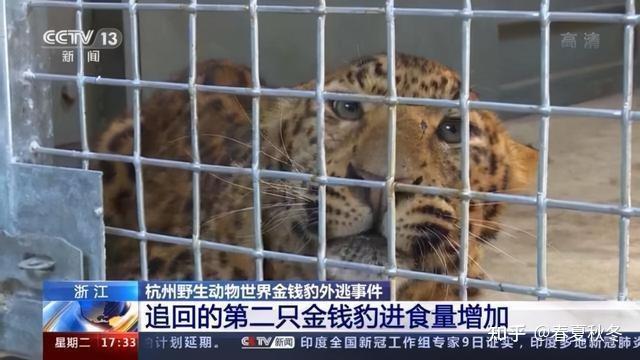 寸金动物园有什么动物?金钱豹自助 婴儿收费吗-图3 寸金动物园有什么动物?金钱豹自助 婴儿收费吗-图3