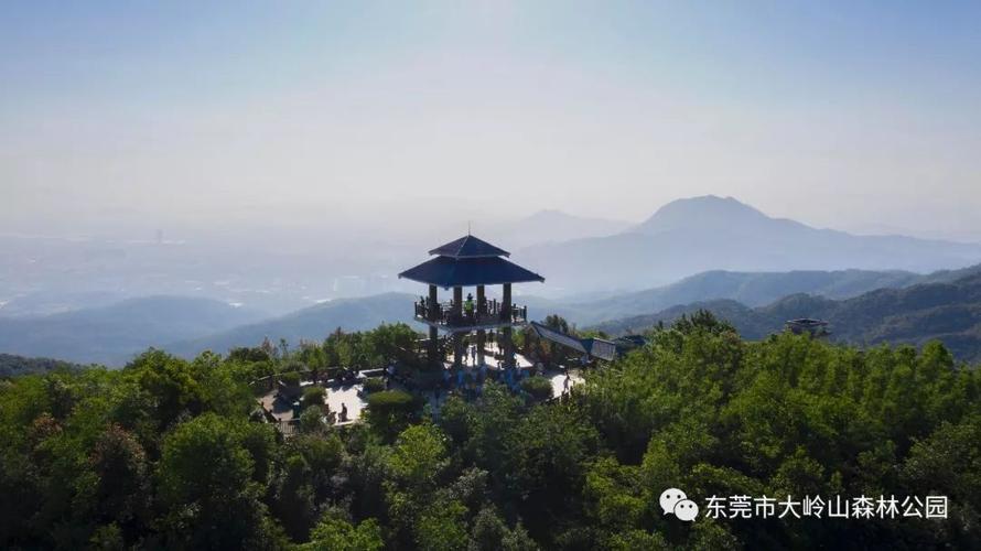 东莞大岭山森林公园需要入场费吗?大岭山森林公园收费吗-图3 东莞大岭山森林公园需要入场费吗?大岭山森林公园收费吗-图3