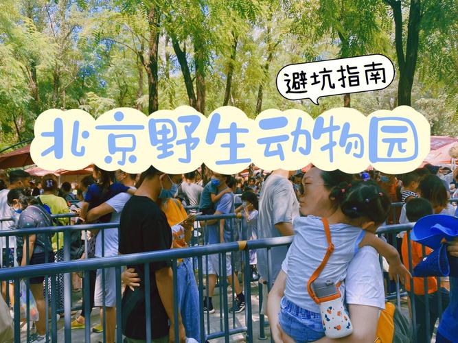 外地车去北京大兴野生动物园限号吗?大兴外来人员收费-图3 外地车去北京大兴野生动物园限号吗?大兴外来人员收费-图3