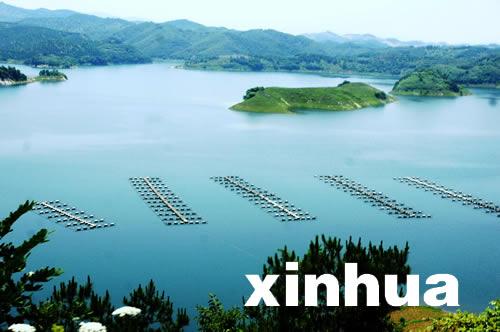 丹江口水库钓鱼收费吗？丹江口水库收费吗