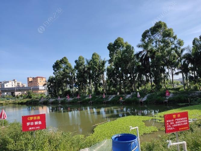东莞免费野钓地方推荐?东莞万江收费钓鱼场-图2 东莞免费野钓地方推荐?东莞万江收费钓鱼场-图2