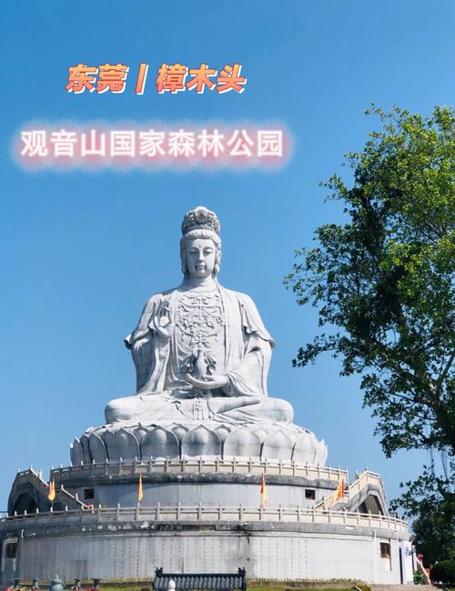 观音山门票多少？观音山停车收费