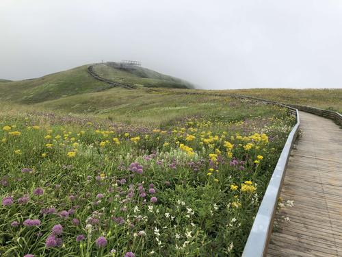 贵阳到韭菜坪旅游乘车路线？贵阳至韭菜坪高速收费