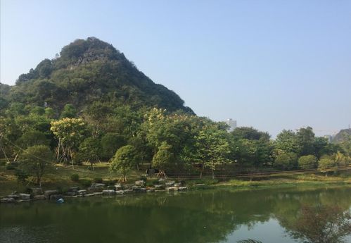 桂林生态园要门票吗?桂林市公园收费-图3 桂林生态园要门票吗?桂林市公园收费-图3