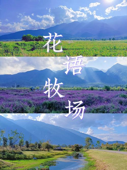 花语牧场值得去吗?花语牧场儿童收费-图3 花语牧场值得去吗?花语牧场儿童收费-图3